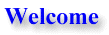 Web site support